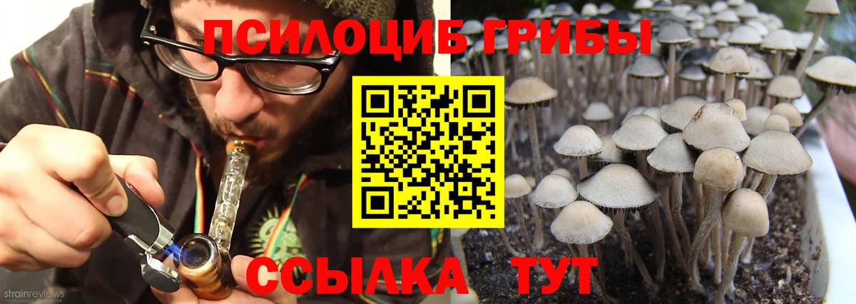 Псилоцибиновые грибы GOLDEN TEACHER Костомукша
