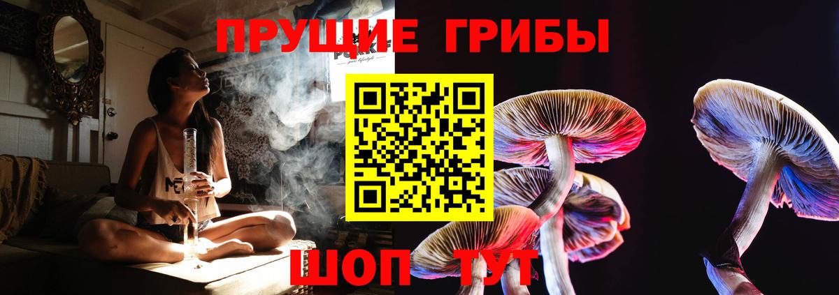 Галлюциногенные грибы Magic Shrooms  Вход с VPN  Костомукша 